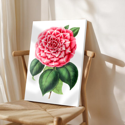 Art mural encadré, fleur de camélia rose avec feuilles vertes, style botanique détaillé. Décoration murale, grande œuvre d'art pour le salon, prête à être suspendue, 24 po x 36 po