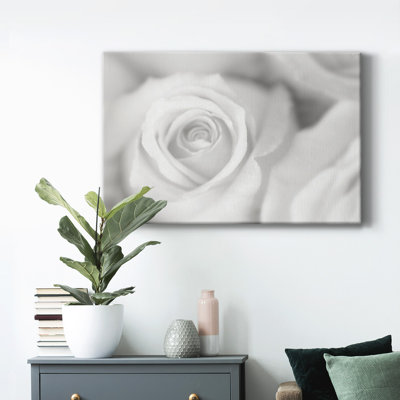 Rose Études II - reproduction sur toile tendue