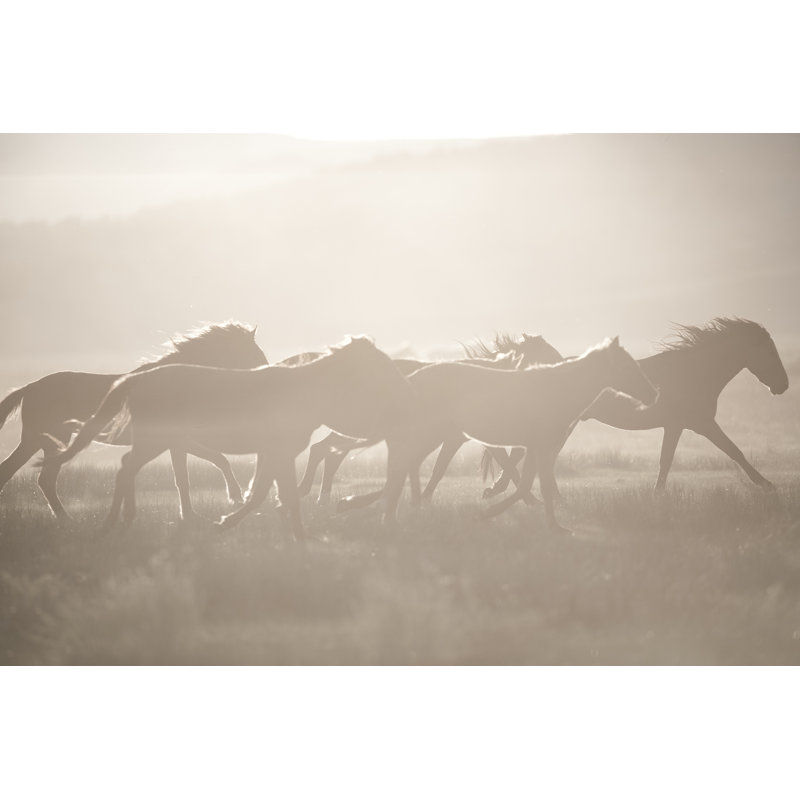 Wild Horses by St.MarieLtd. - Wrapped Canvas Print, 51cm H x 76cm W