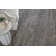 Clair Modern Distressed Area Rug