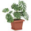 Plant Stand-44664423-44664421