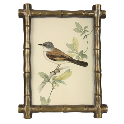 Bamboo Frame, Brass - 5X7