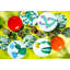 Color Cactus Piece Porcelain Dinnerware Set - Service for 6