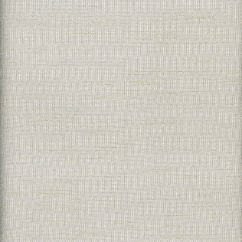 Tissu Ace, Argent