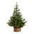 Balsam 3' Pine Christmas Tree