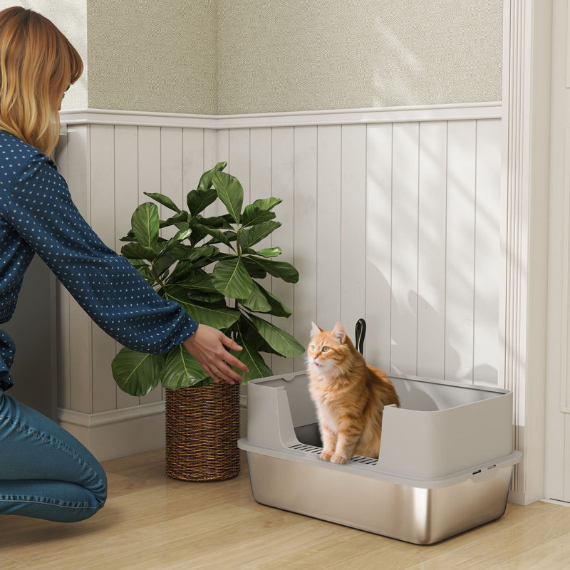Bac à litière pour chat XL