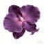 Arrangement floral artificiel