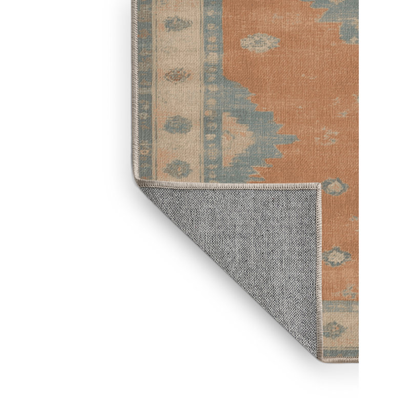 Machine Washable Overdyed Brown Area Rug, Rectangle 2' x 3'