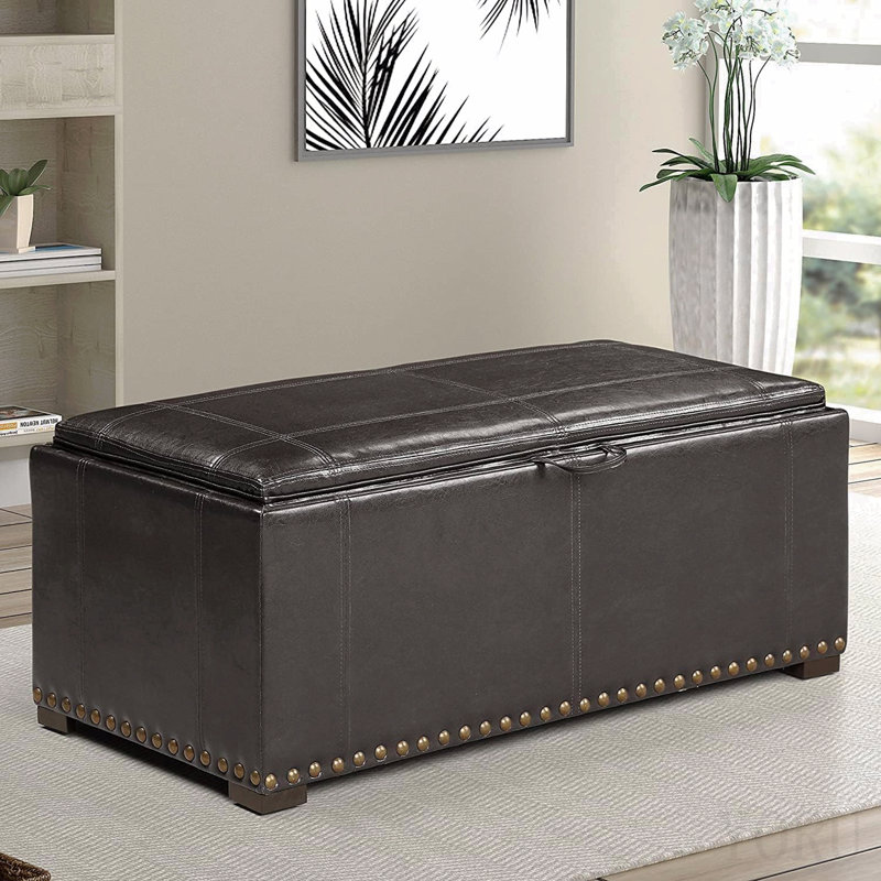 Banc de rangement en cuir avec 2 repose-pieds latéraux, noir