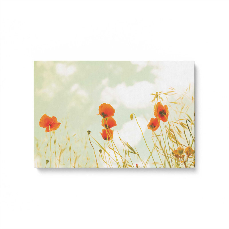 «Gentle Poppy Breeze», reproduction sur toile, Toile tendue, 12" H x 18" W x 1.25" D