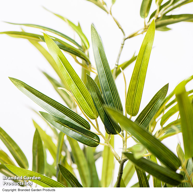 90cm Bamboo Tree in Pot