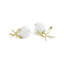 Pomegranate Salt And Pepper Shaker Set
