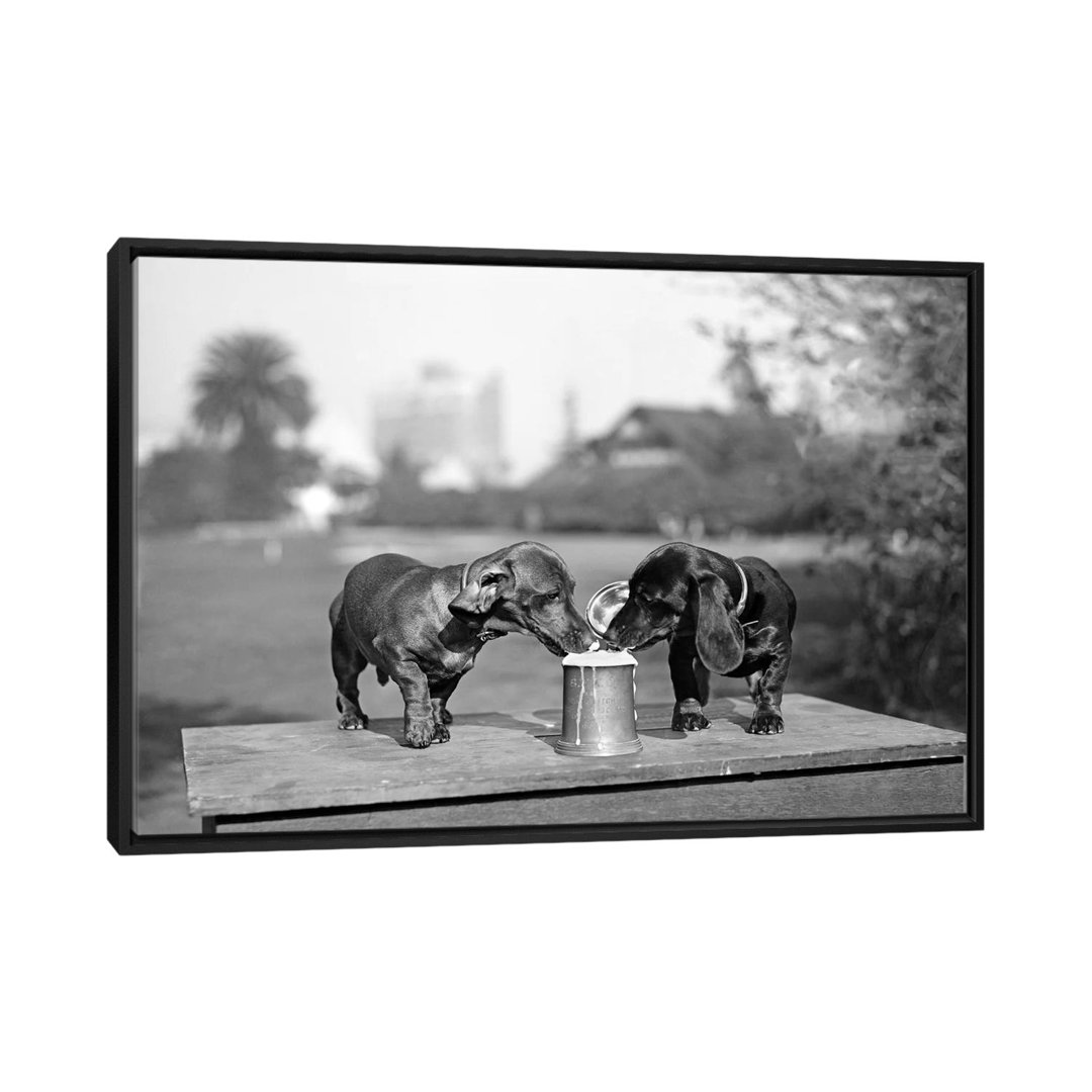 Vintage Images '1890s Two Dachshund Puppies Lapping Beer From Stein' Photographic Print on Wrapped Canvas East Urban Home Mat
