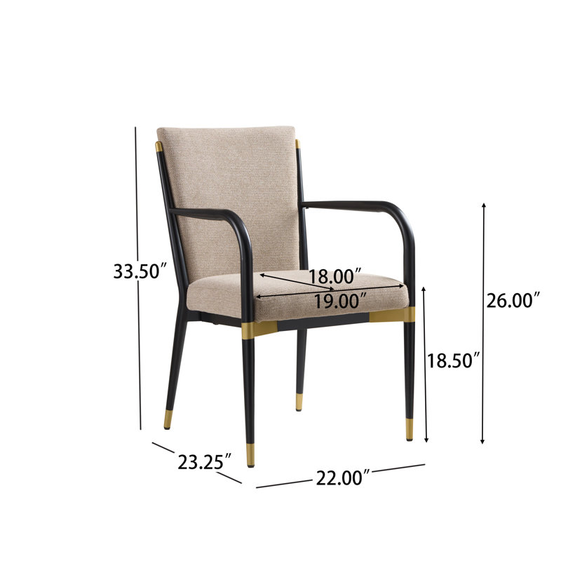  Ensemble de 2 chaises d'appoint luxueuses et luxueuses, noir et luxueux, cadre en métal