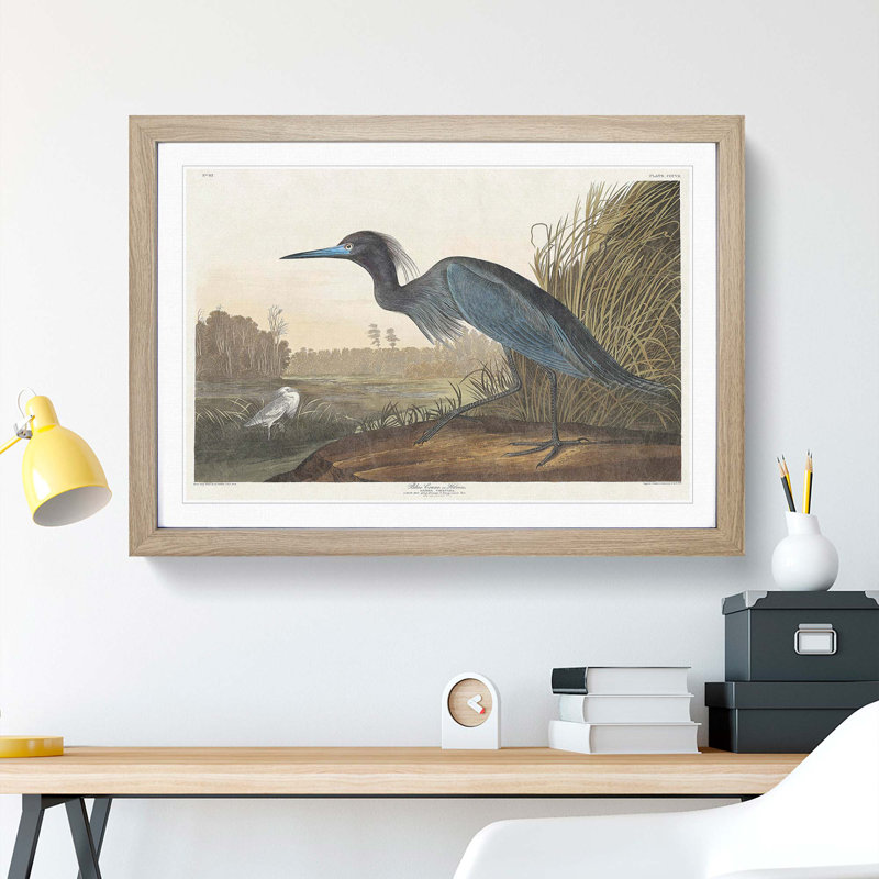 Blue Heron by John James Audubon - Picture Frame Art Print on MDF, Oak Framed, 27cm H x 36cm W x 2cm D