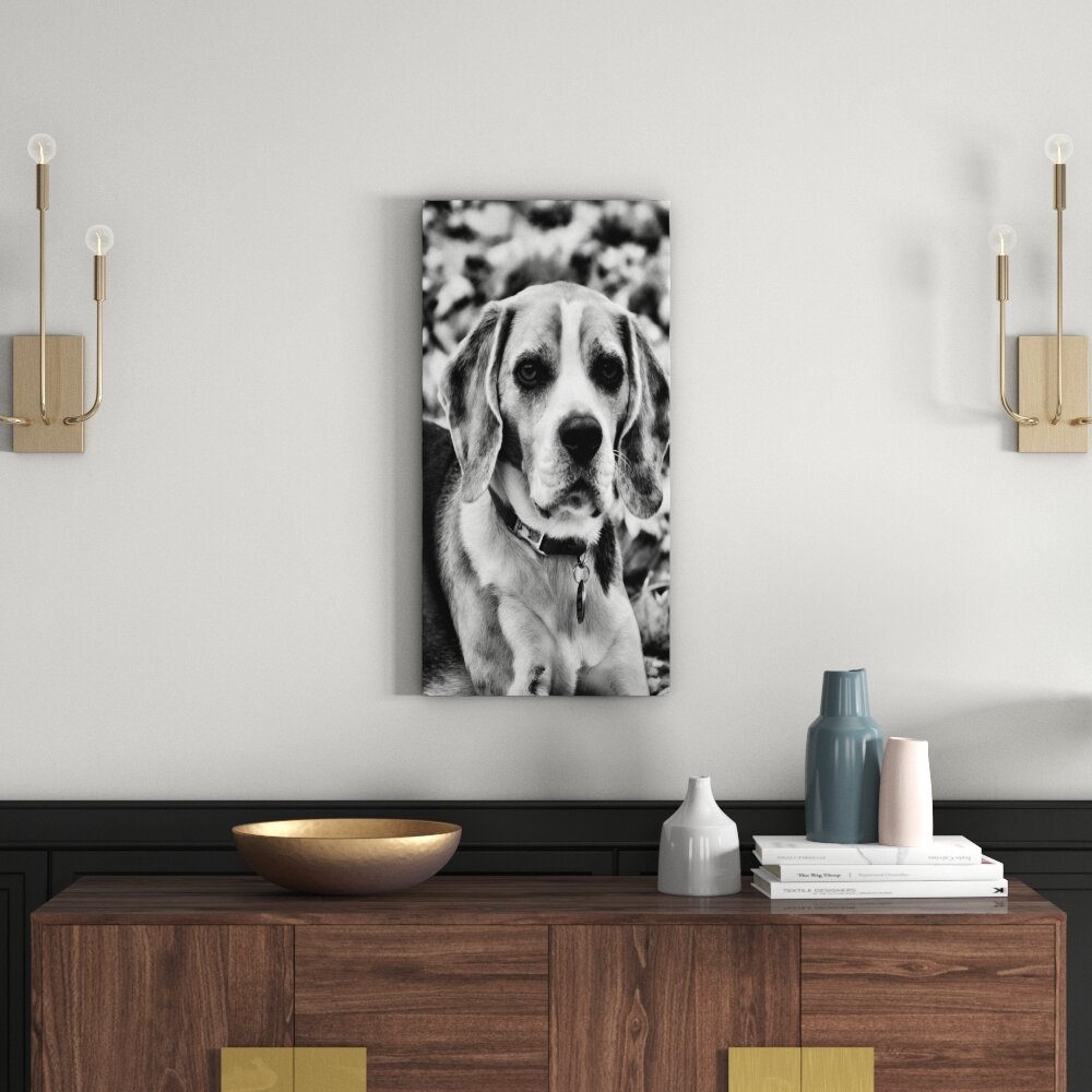 Leinwandbild Kleiner Beagle im Laub in Monochrom