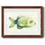 Poisson d'eau douce moucheté II-562123181-562123180
