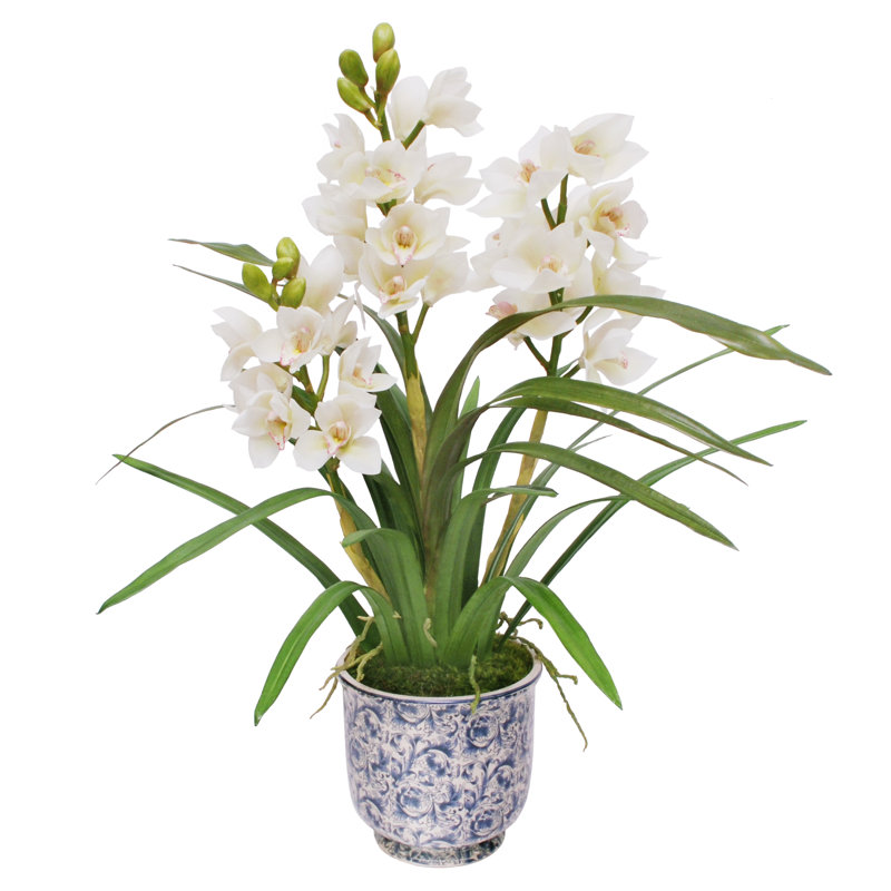 Arrangement floral cymbidium orchidées dans un pot de cache