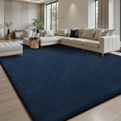 8x10 Area Rugs for Living Room, Soft Large Area Rug Fluffy Rugs for Bedroom，Machine Washable Area Rug Non Slip Carpet Rug for Living Room Playroom Kids Room Home Decor