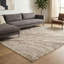 Caylyn Area Rug-1970354758-1970354754