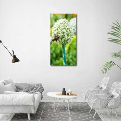 Garlic Flowers - Wrapped Canvas Print