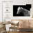 Brampt Horse Headshot-107719609