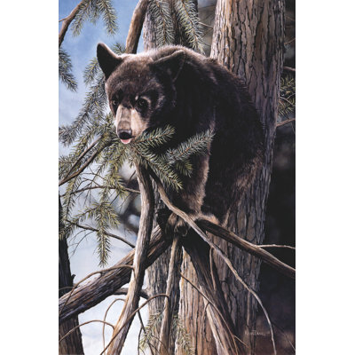 Out On A Limb by Kevin Daniel - Wrapped Canvas Print