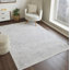 Copenhaver Power Loom Grey/Cream Area Rug-1406032669