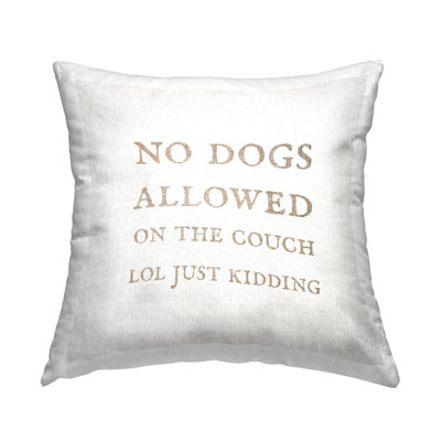 No Decorative Addition Throw Pillow