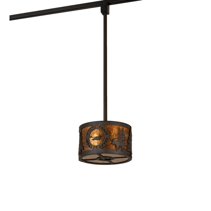 Luminaire suspendu personnalisé 10 po Fulton