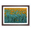 Sunflowers Soon to Bloom - Picture Frame Painting Print-55614295-55614297