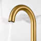 Widespread Bathroom Faucet with Drain Assembly