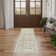 Louque Oriental Indoor Rug
