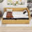 Roya Twin Size Upholstered Daybed with 2 Storage Drawers-478339361