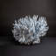 Genuine Blue Ridge Coral (12", 12.5 Lbs)