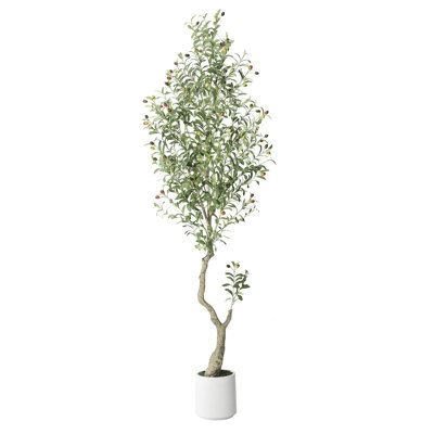 Grand olivier faux, grand olivier 7 pi (84 po) avec pot à fleurs blanc et fausse mousse verte