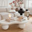 Table basse moderne en forme de nuage avec 3 pieds sphériques-1543411019
