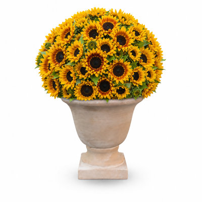 Pot Planter