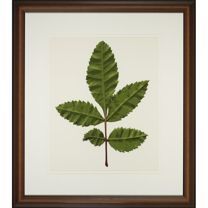 A Little Piece Of Nature IV Print