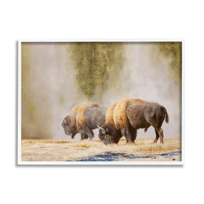 " Bison Wildlife Photography " by Mark Kelso Painting Print