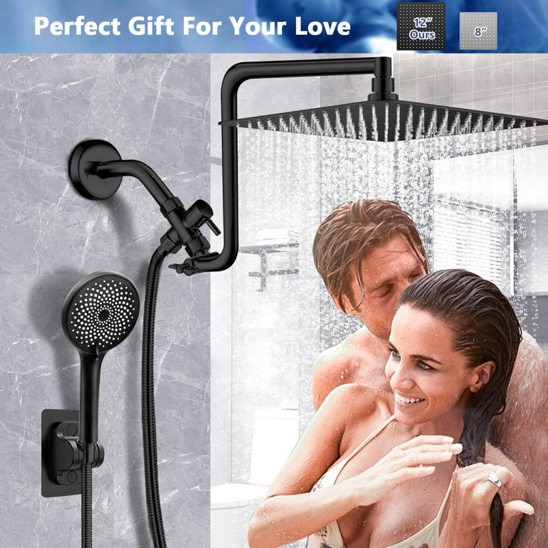Rain Dual Shower Head 1.75 GPM GPM, Black