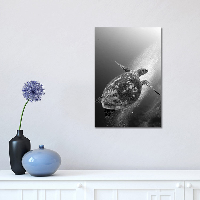 Hawksbill Turtle Ascending Against A Colony Of Bubbles by Steve Jones - Wrapped Canvas Print, 30.48 cm H x 45.72 cm W