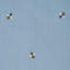 Honey Bee Embroidery Fabric-50800230