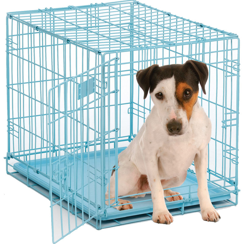 Caisse pour chien pliable en métal avec panneau de séparation et plateau étanche MidWest Homes for Pet, Bleu