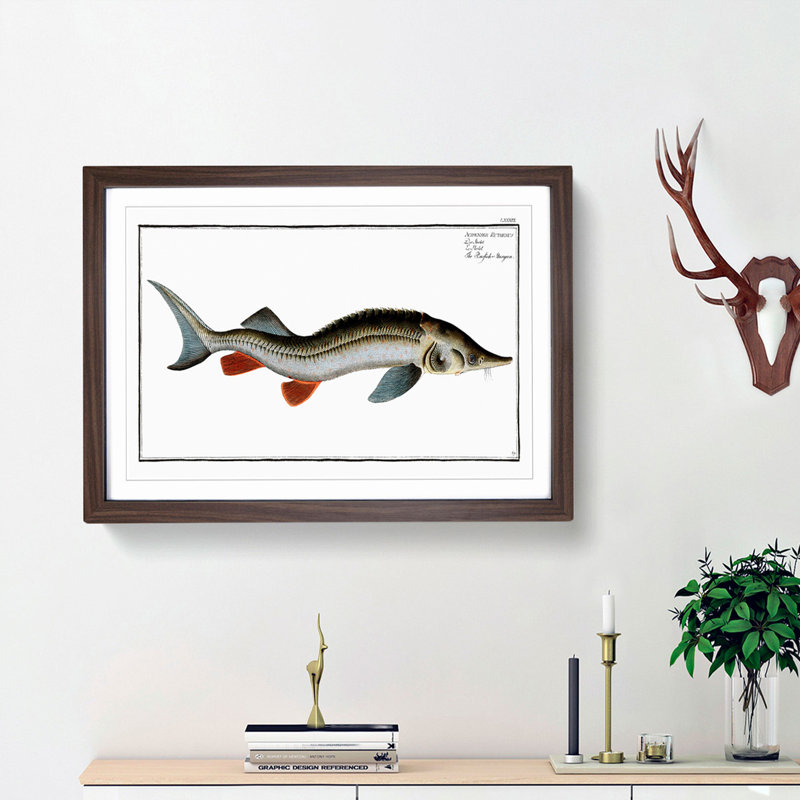 Rusfish-Sturgeon Fish by M.E. Bloch - Picture Frame Painting Print, 48cm H x 65cm W x 2cm D, Walnut Framed