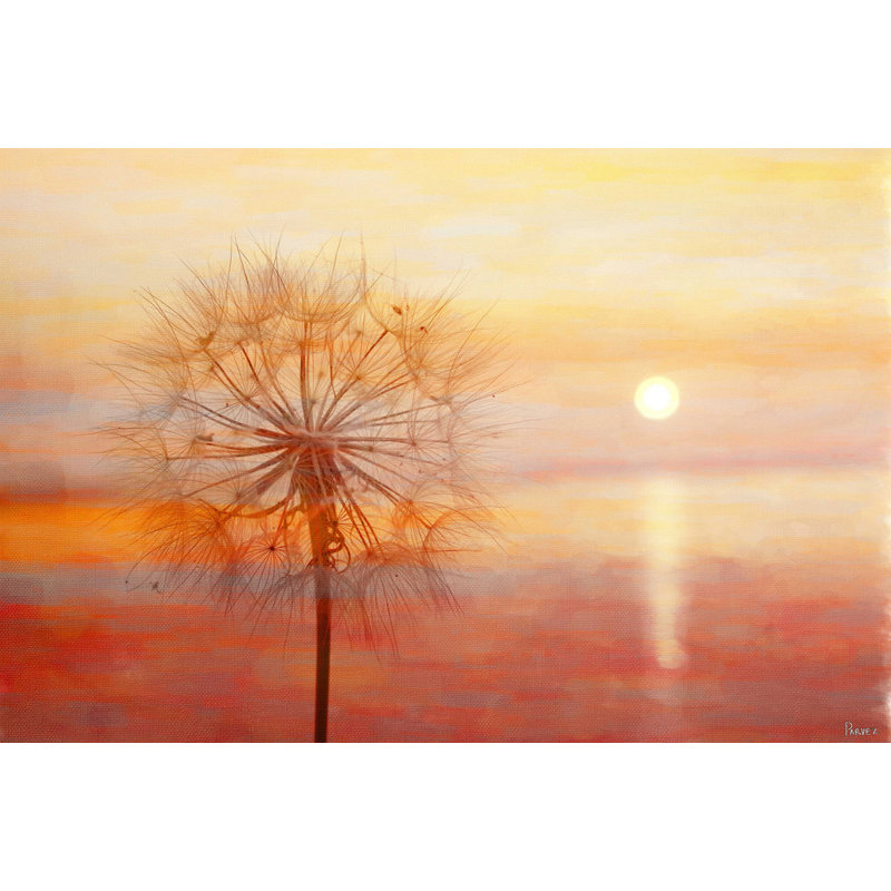Dandy Sunset by Parvez Taj - Print on Canvas, 61cm H x 91cm W