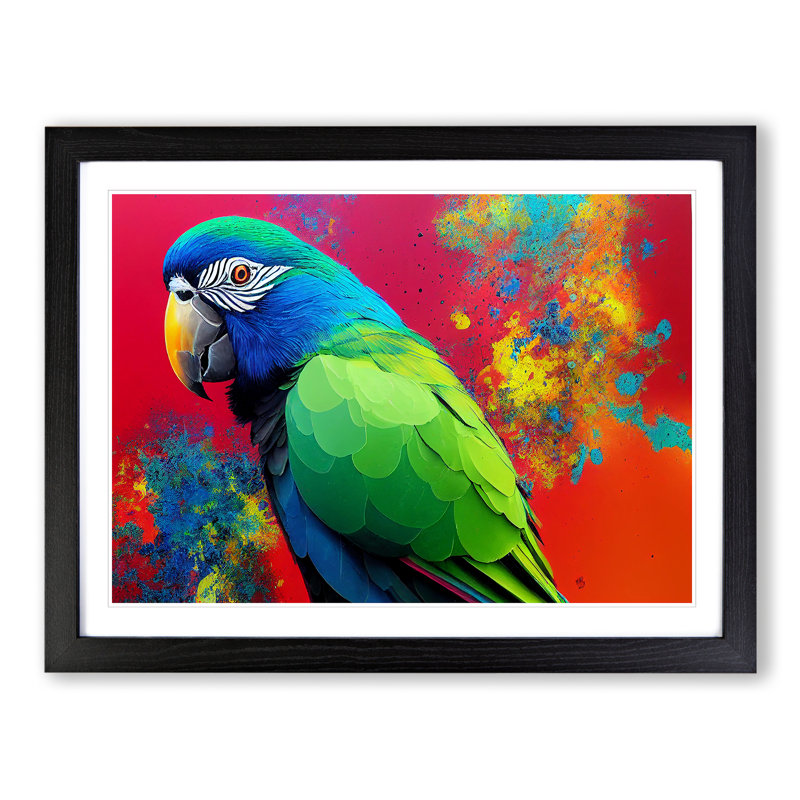 XH1022-6679X Painted Parrot Vol.2 - Single Picture Frame Print, Black Framed, 25cm H x 34cm W x 2cm D