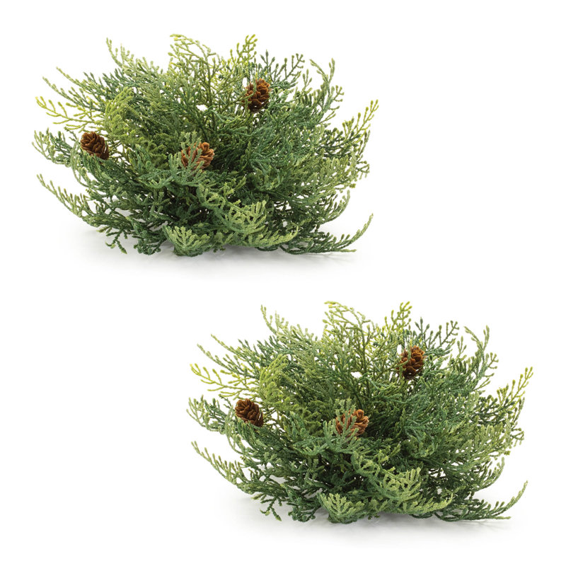 Cedar Pinecone Half Orb (Set of 2), 7.5 in x 8.5 in