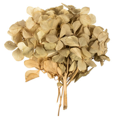 Centre de table d'hortensia Vickerman