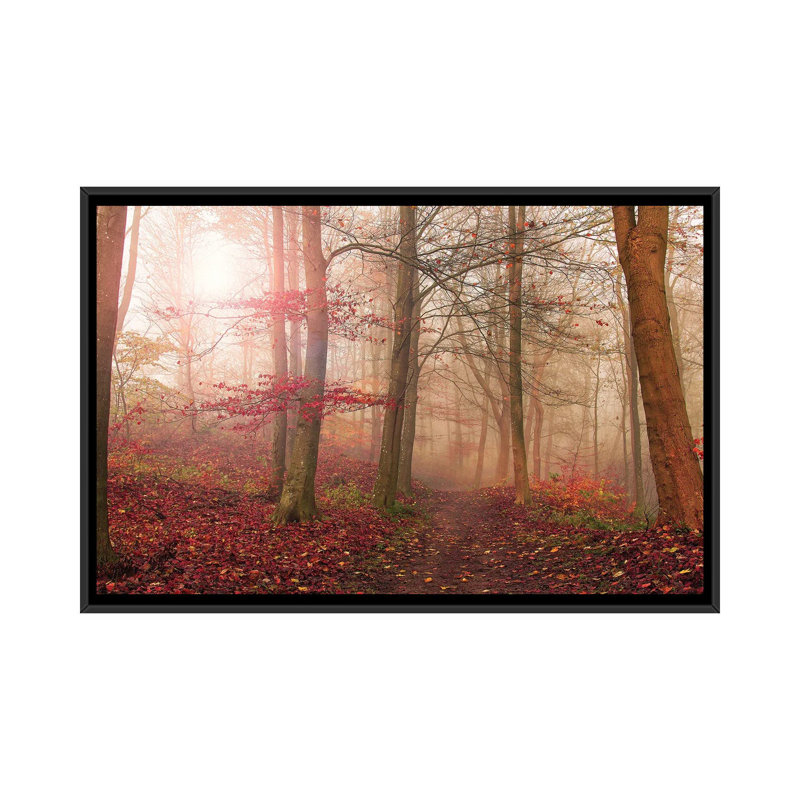 Forest Scene by Leif Londal - Floater Frame Print on Canvas